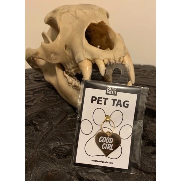 🍎 3/$10 🐶 Pet Tags - Picture 2 of 9